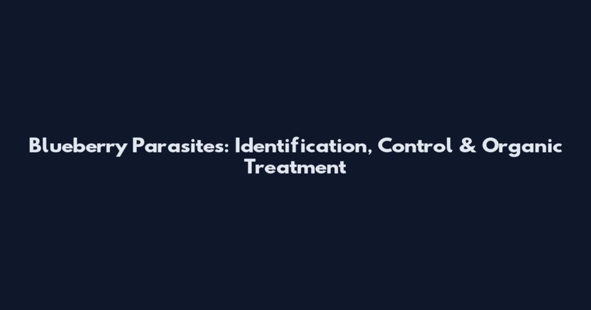 Blueberry Parasites: Identification, Control & Organic Treatment