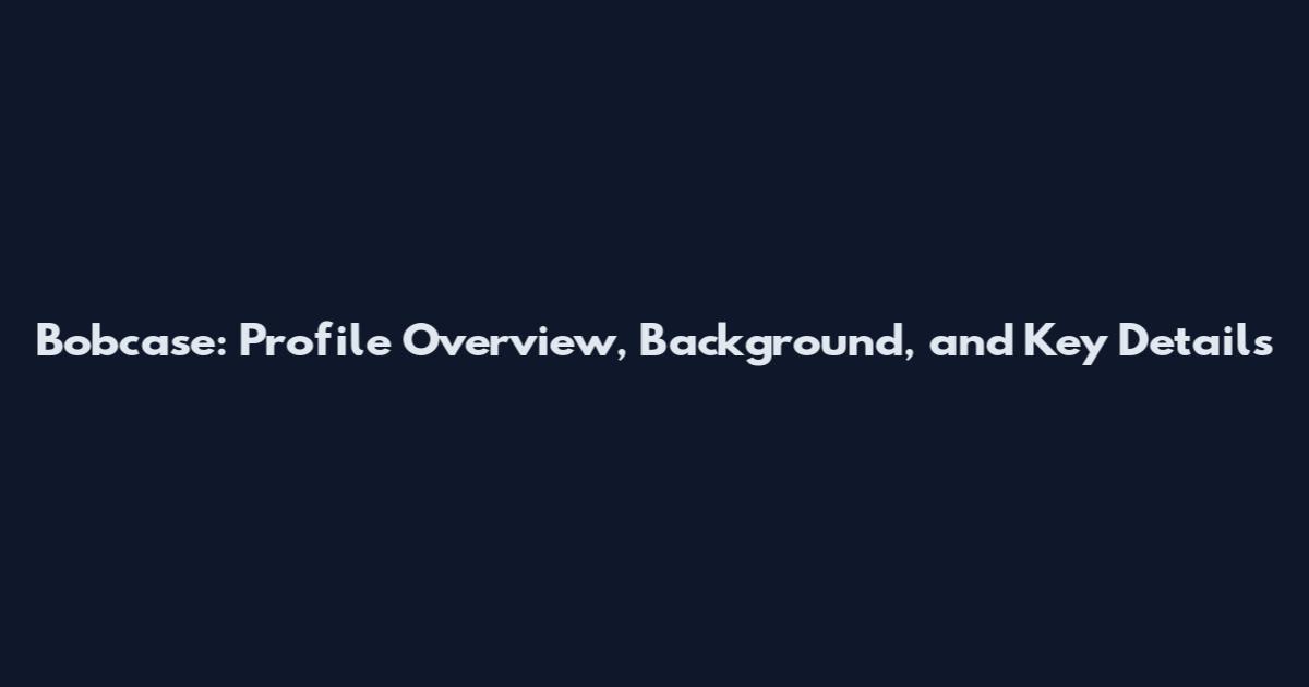Bobcase: Profile Overview, Background, and Key Details
