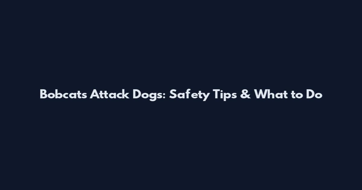 Bobcats Attack Dogs: Safety Tips & What to Do