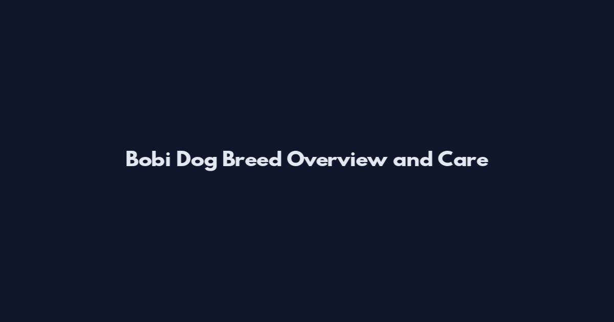 Bobi Dog Breed Overview and Care