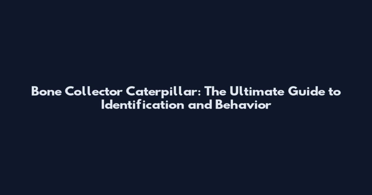 Bone Collector Caterpillar: The Ultimate Guide to Identification and Behavior