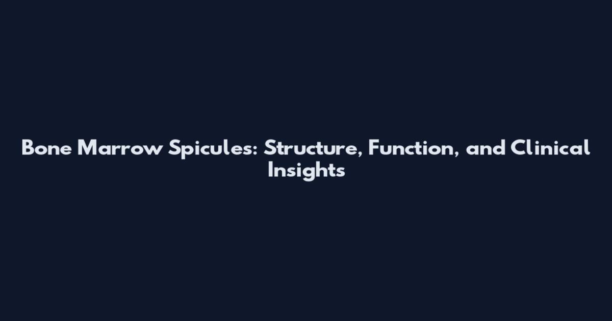 Bone Marrow Spicules: Structure, Function, and Clinical Insights