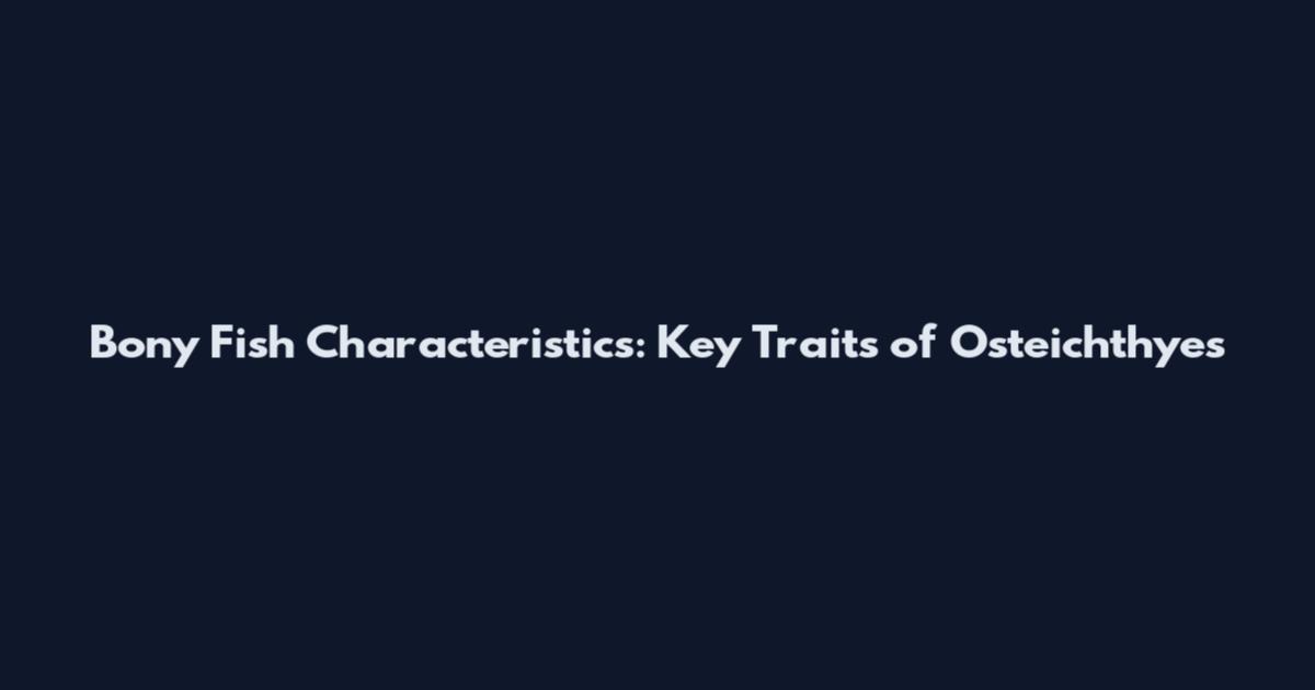 Bony Fish Characteristics: Key Traits of Osteichthyes