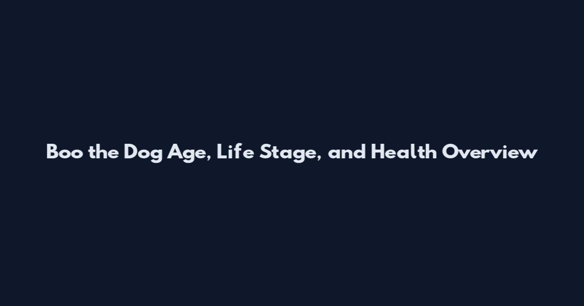 Boo the Dog Age, Life Stage, and Health Overview