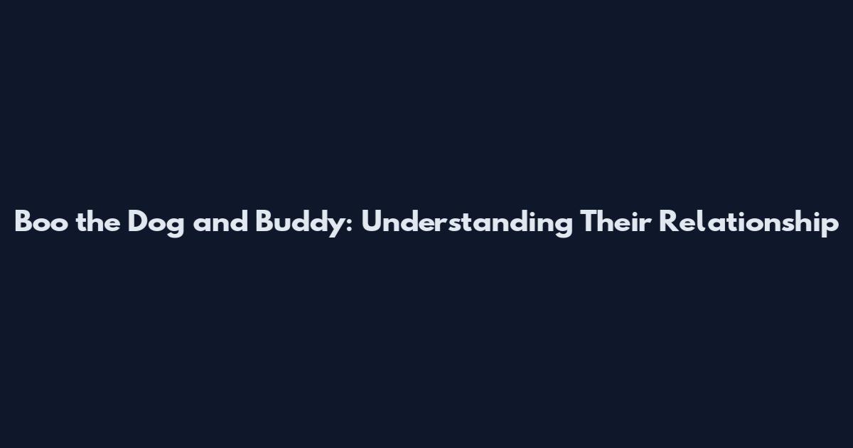 Boo the Dog and Buddy: Understanding Their Relationship