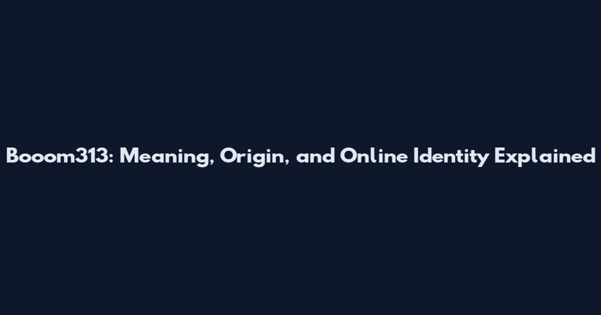Booom313: Meaning, Origin, and Online Identity Explained