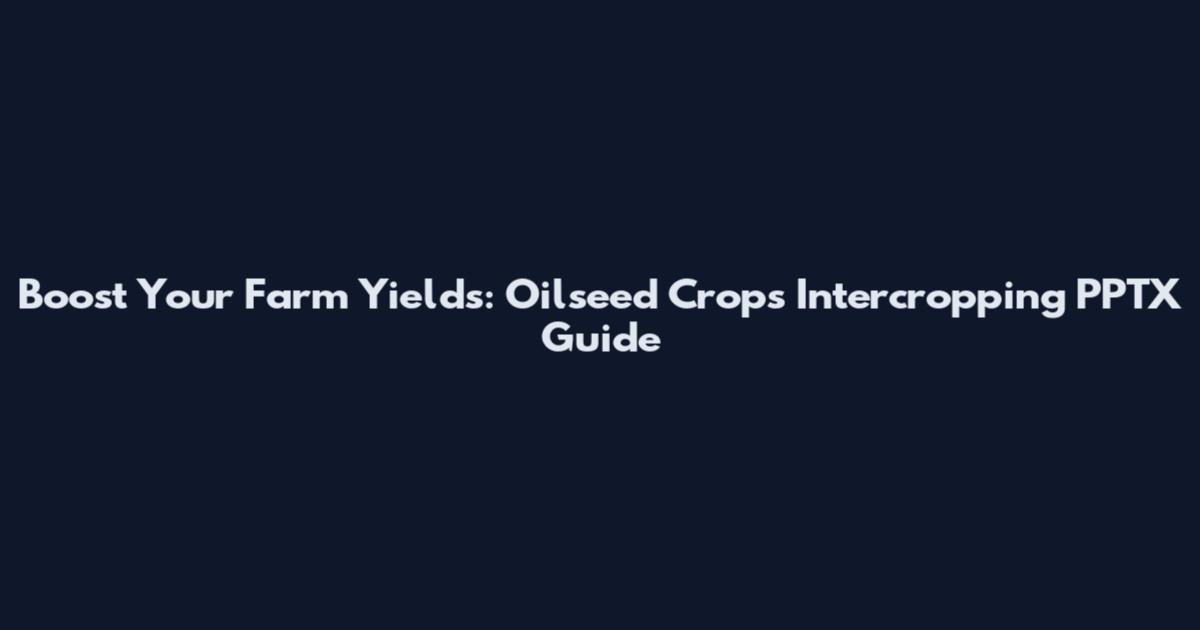 Boost Your Farm Yields: Oilseed Crops Intercropping PPTX Guide