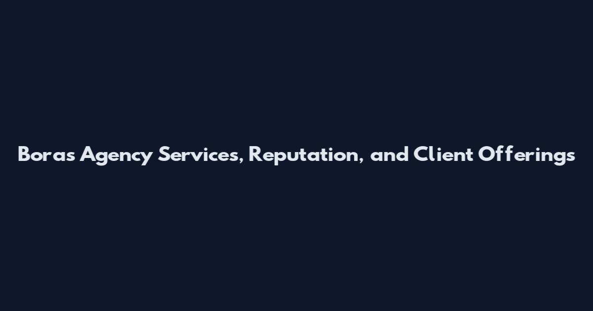 Boras Agency Services, Reputation, and Client Offerings