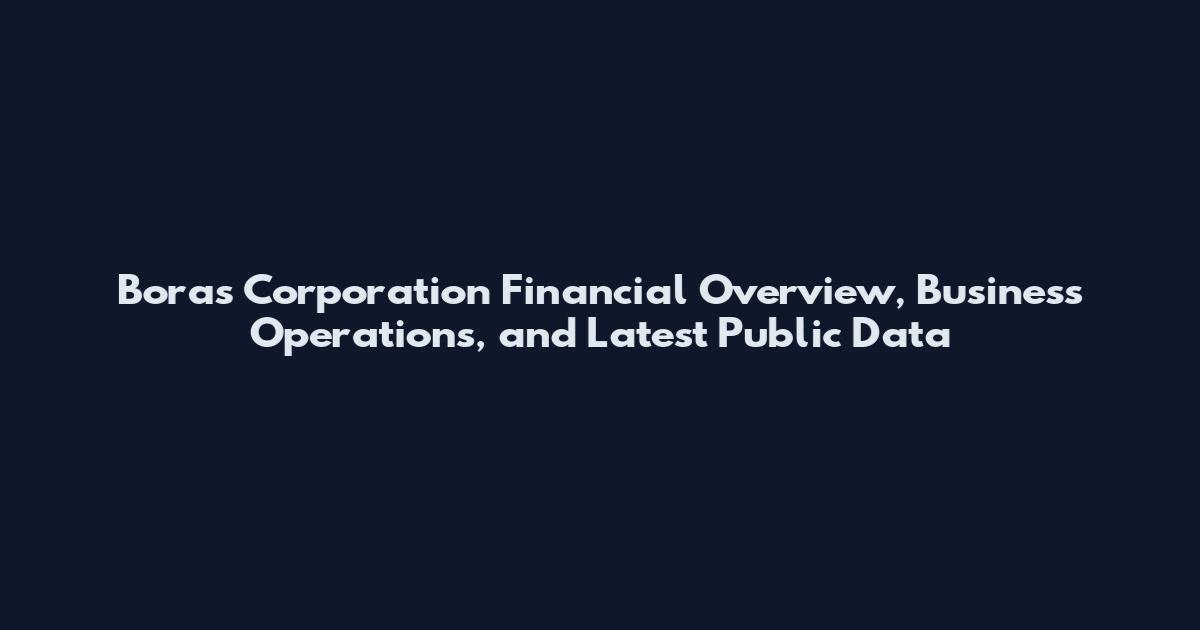 Boras Corporation Financial Overview, Business Operations, and Latest Public Data
