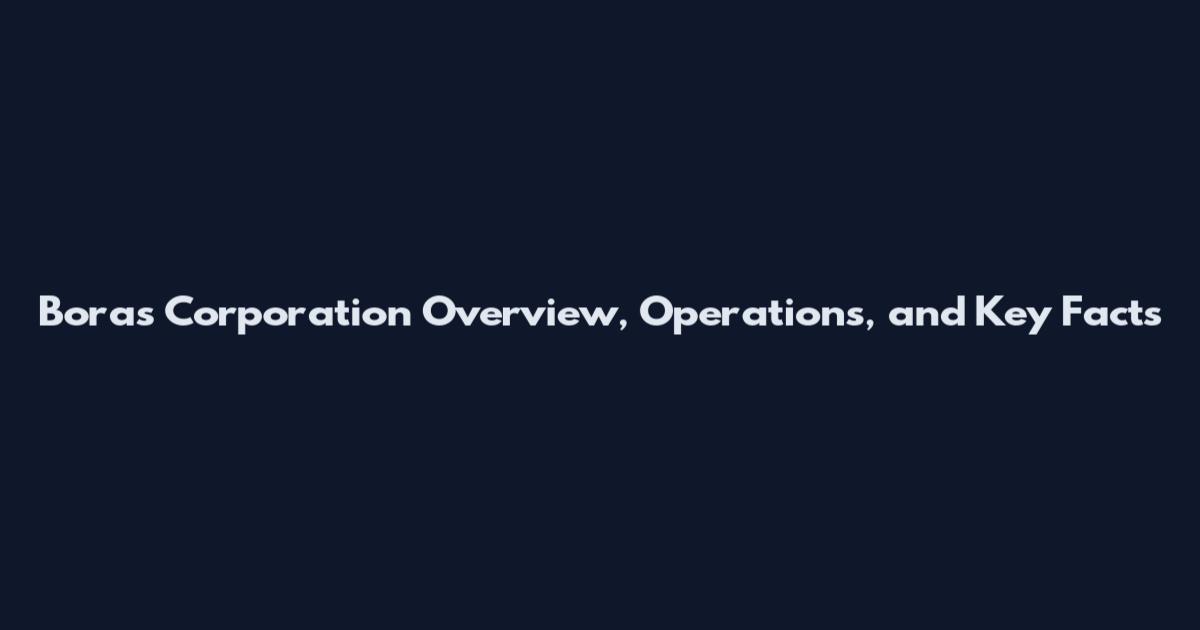 Boras Corporation Overview, Operations, and Key Facts