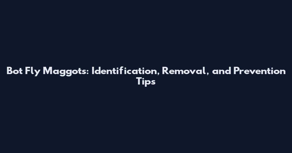 Bot Fly Maggots: Identification, Removal, and Prevention Tips