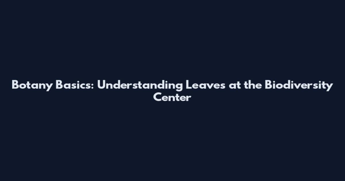 Botany Basics: Understanding Leaves at the Biodiversity Center