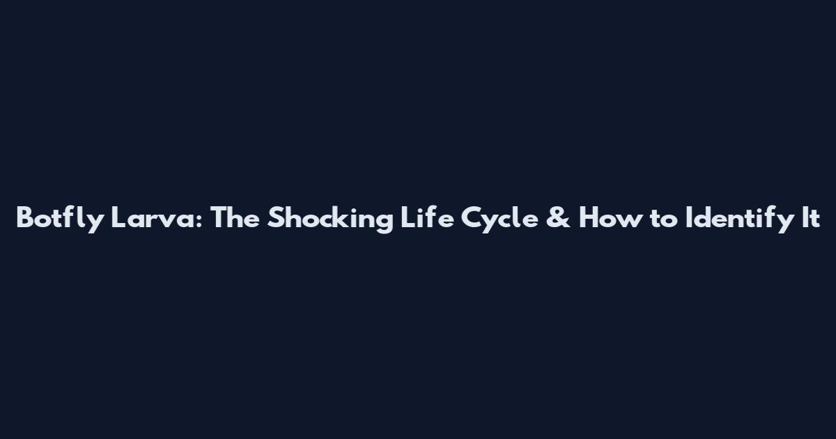 Botfly Larva: The Shocking Life Cycle & How to Identify It