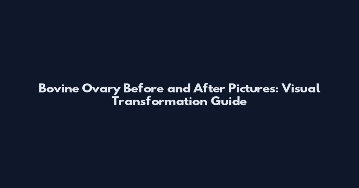 Bovine Ovary Before and After Pictures: Visual Transformation Guide
