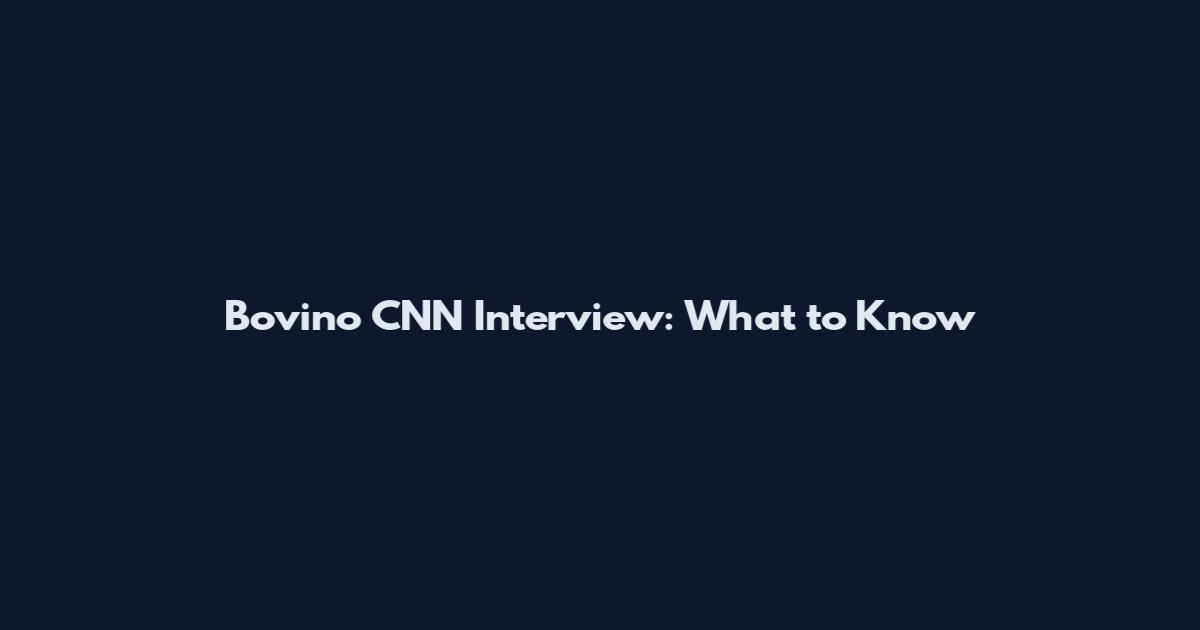 Bovino CNN Interview: What to Know