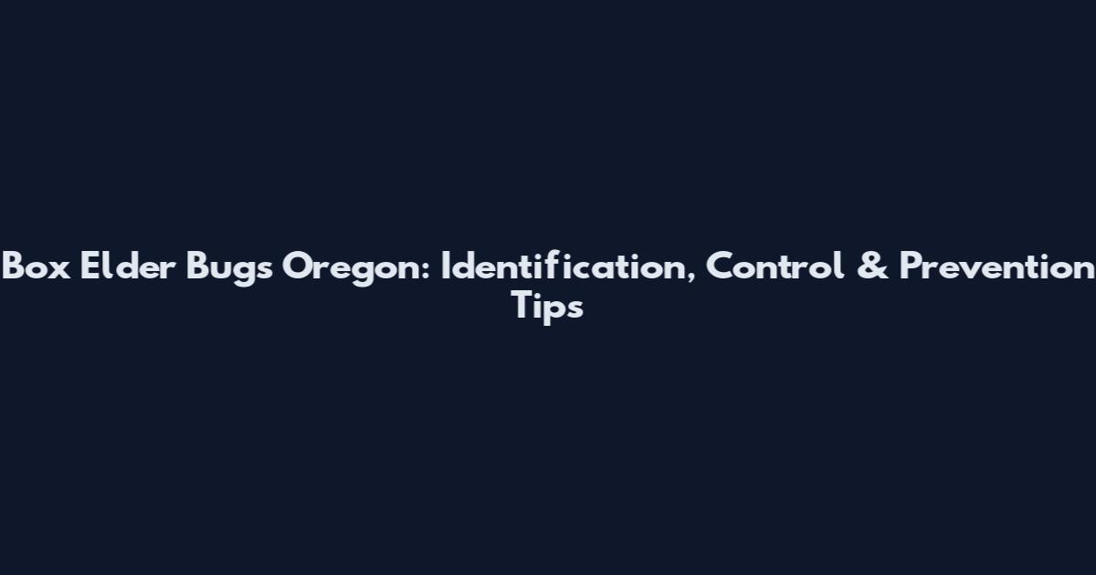 Box Elder Bugs Oregon: Identification, Control & Prevention Tips