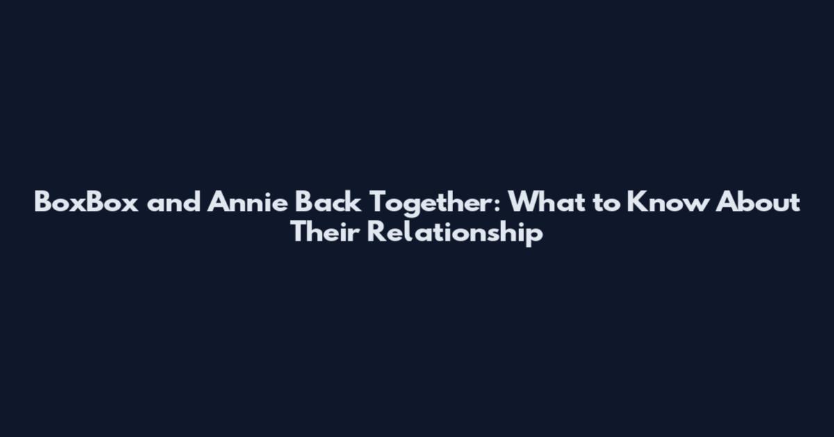 BoxBox and Annie Back Together: What to Know About Their Relationship