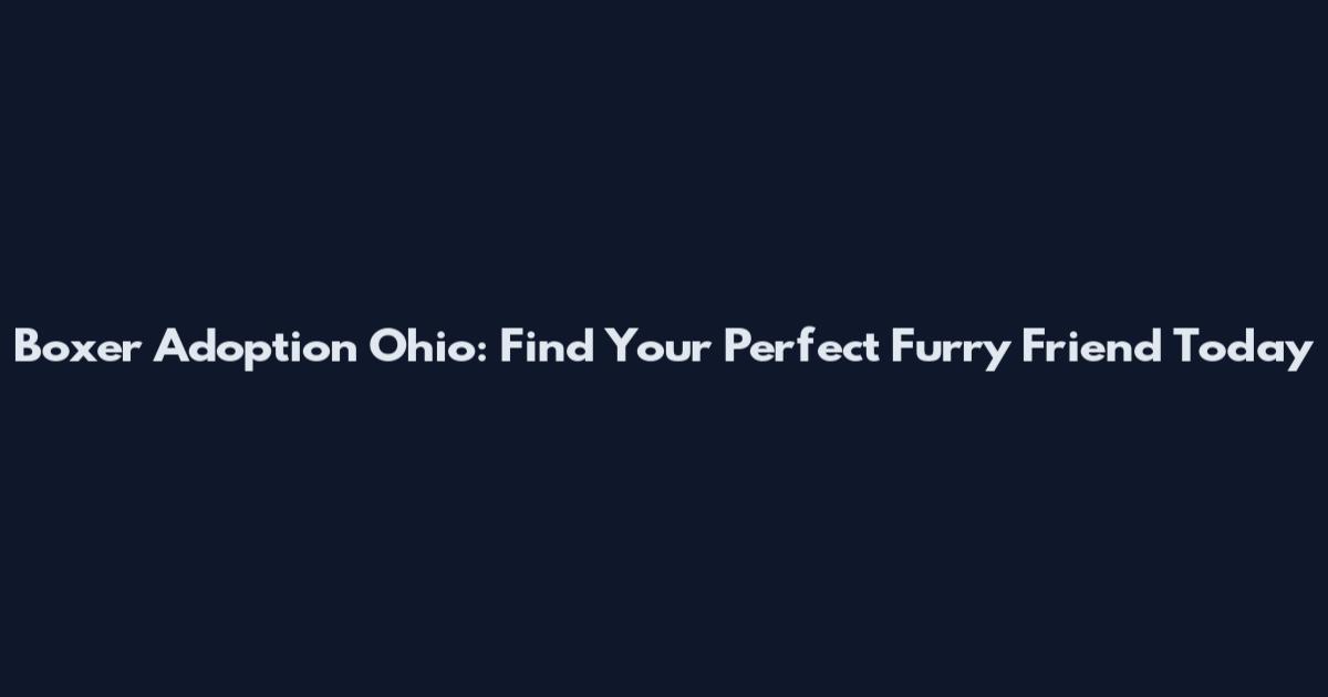 Boxer Adoption Ohio: Find Your Perfect Furry Friend Today