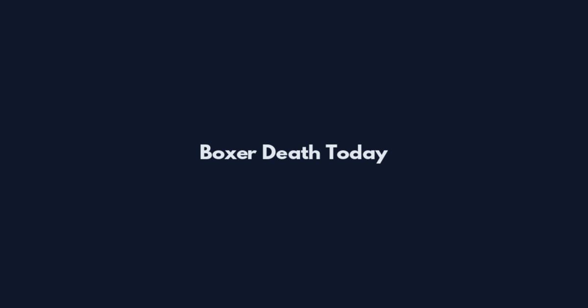 Boxer Death Today
