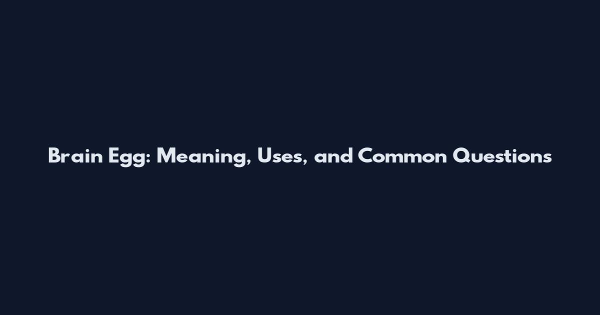 Brain Egg: Meaning, Uses, and Common Questions
