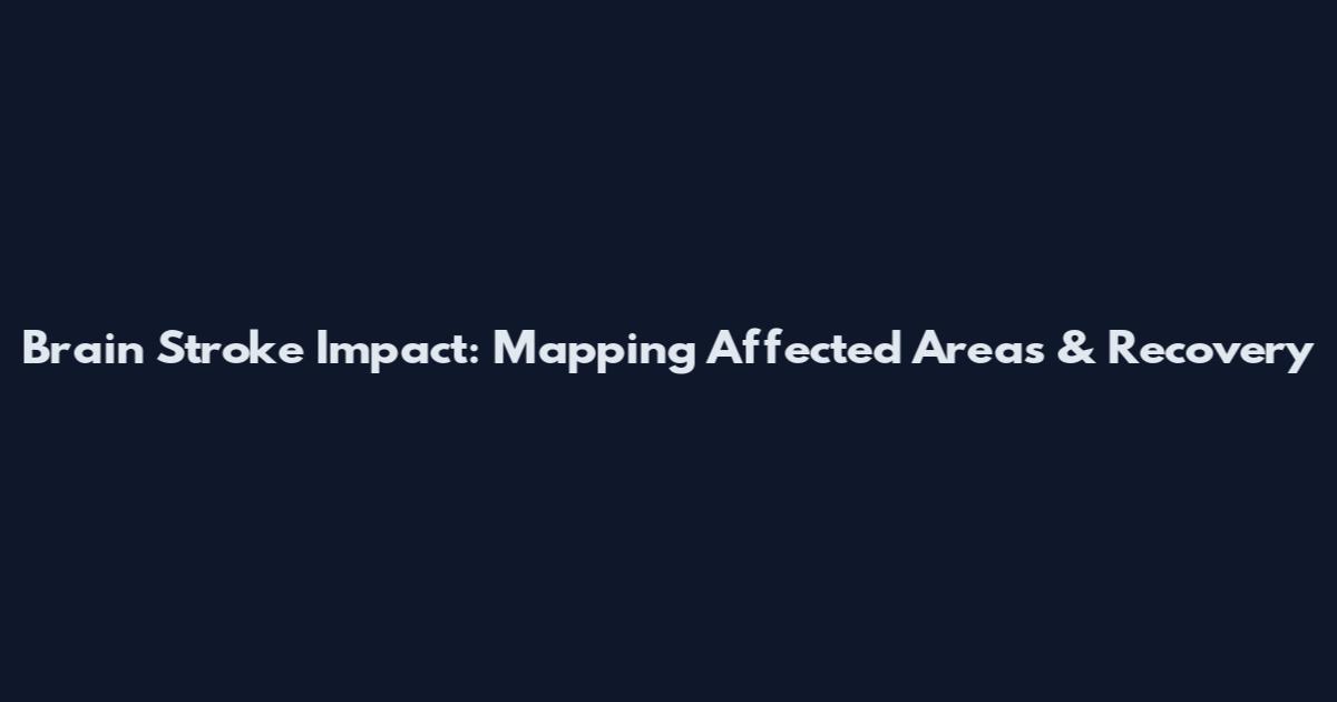Brain Stroke Impact: Mapping Affected Areas & Recovery