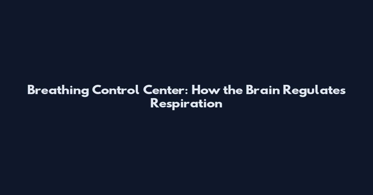 Breathing Control Center: How the Brain Regulates Respiration