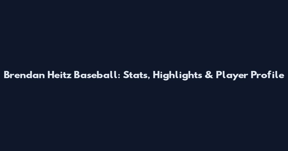 Brendan Heitz Baseball: Stats, Highlights & Player Profile