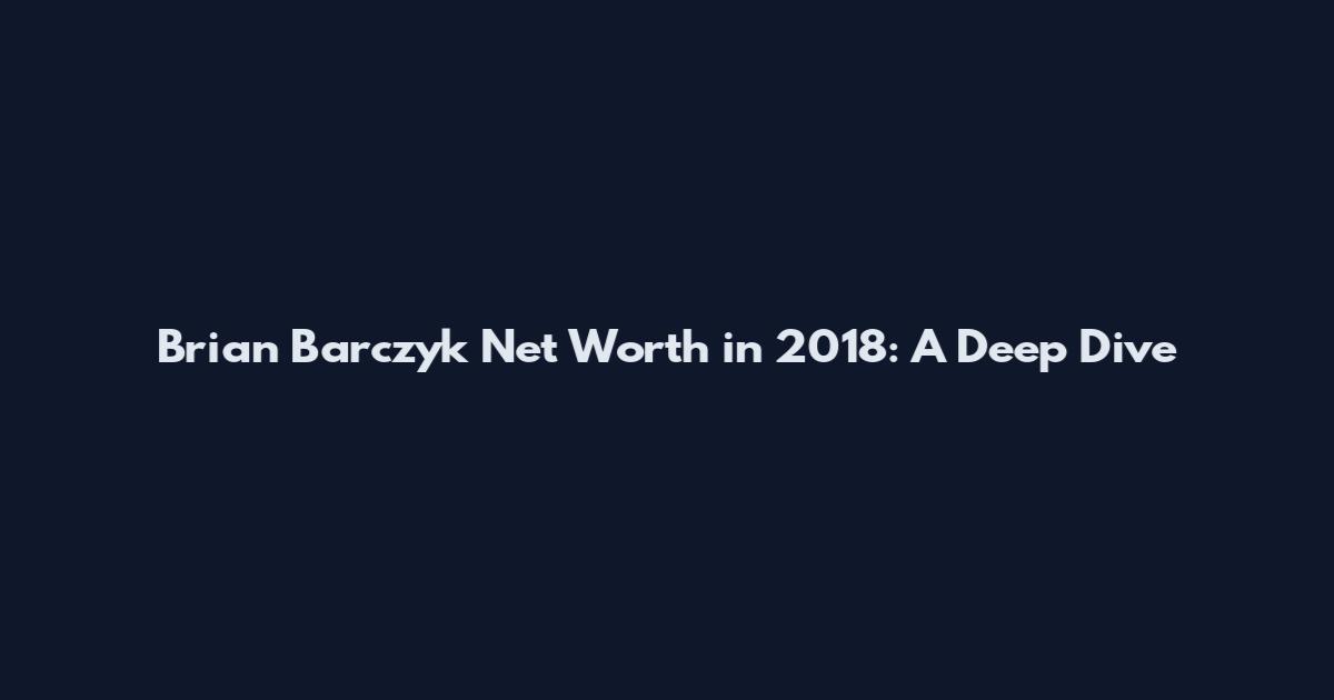 Brian Barczyk Net Worth in 2018: A Deep Dive