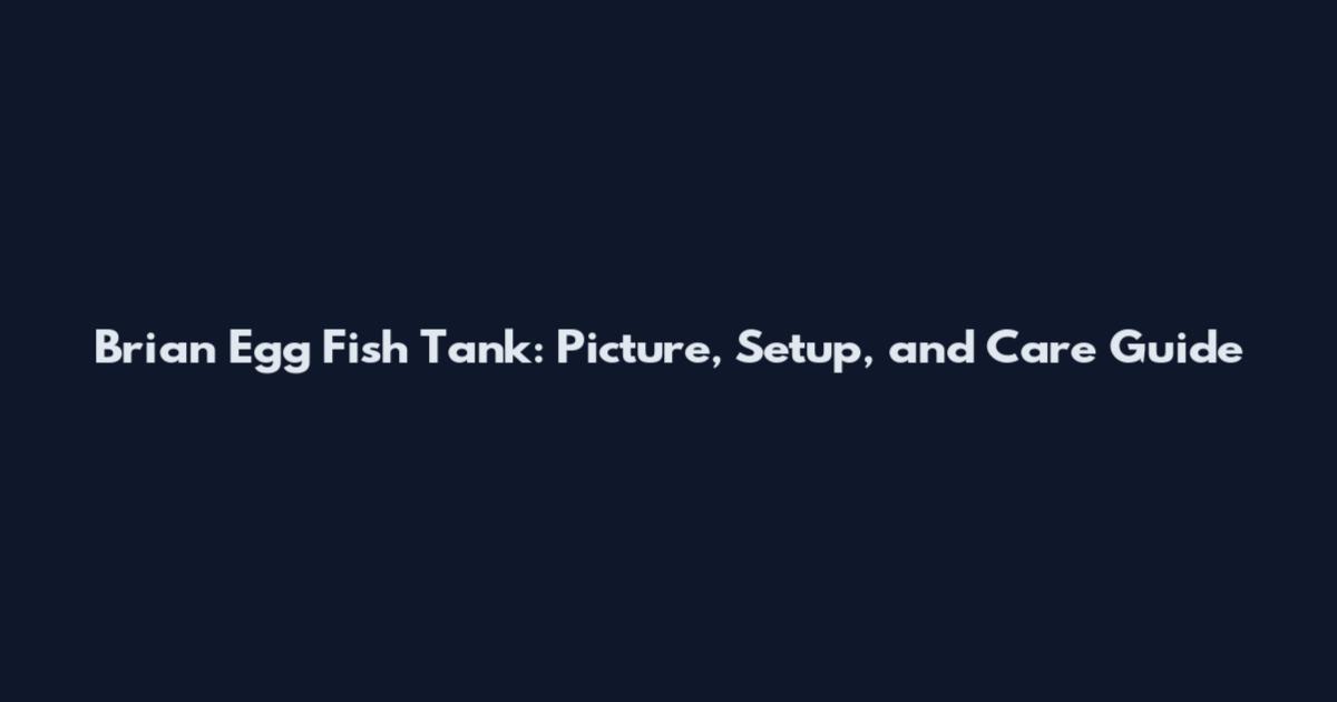 Brian Egg Fish Tank: Picture, Setup, and Care Guide