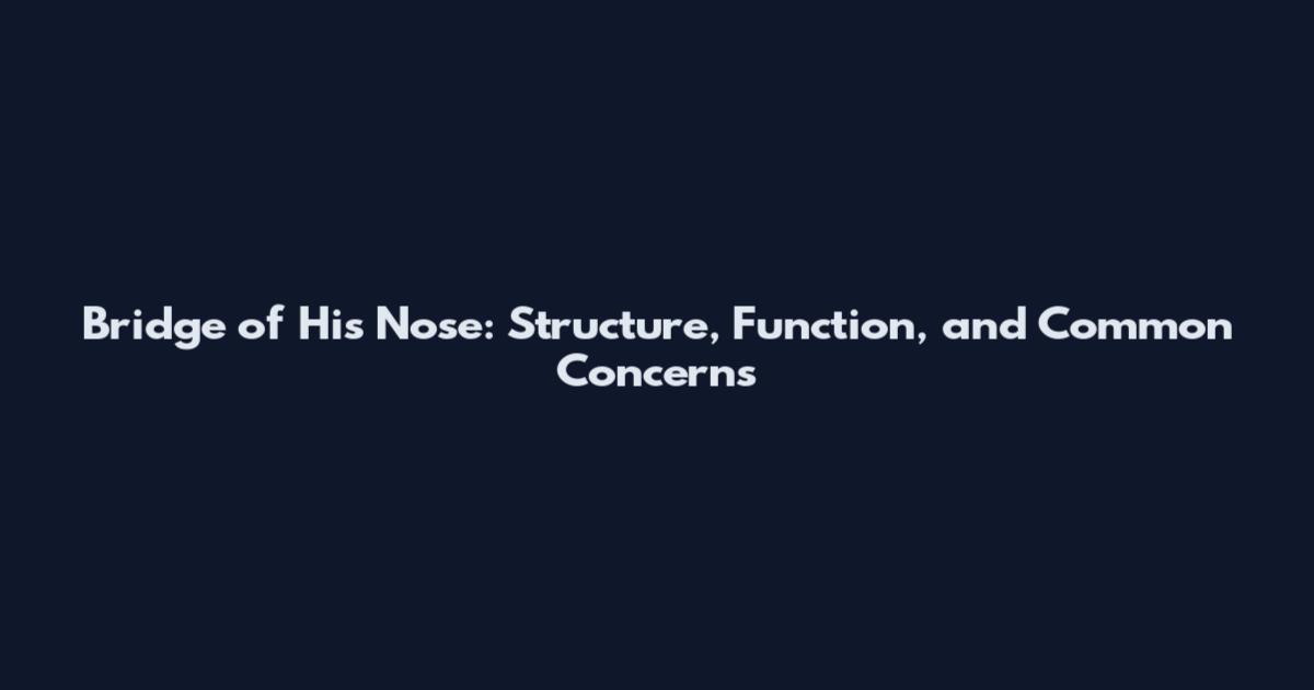 Bridge of His Nose: Structure, Function, and Common Concerns