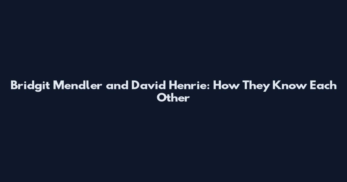 Bridgit Mendler and David Henrie: How They Know Each Other