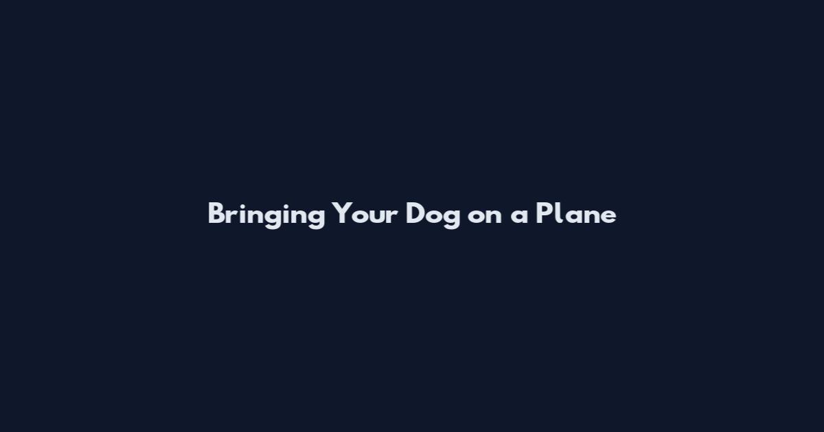 Bringing Your Dog on a Plane