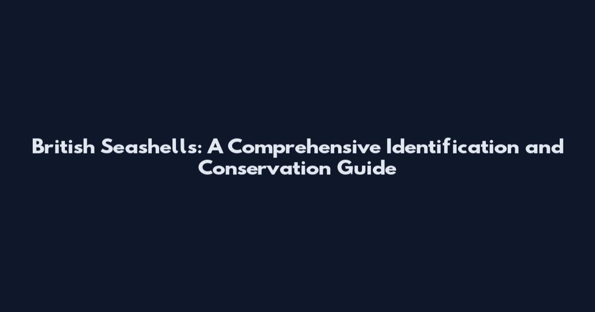 British Seashells: A Comprehensive Identification and Conservation Guide