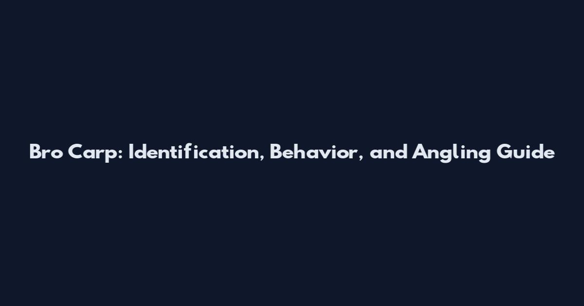 Bro Carp: Identification, Behavior, and Angling Guide