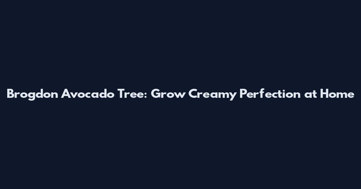 Brogdon Avocado Tree: Grow Creamy Perfection at Home