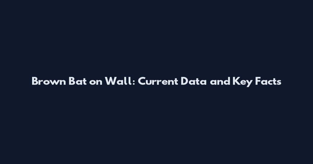 Brown Bat on Wall: Current Data and Key Facts