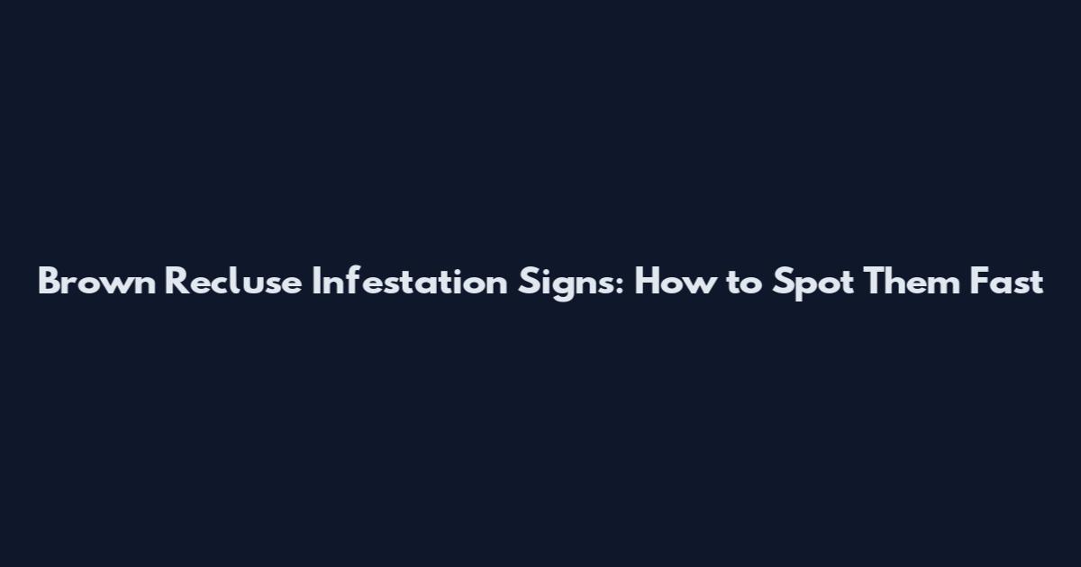 Brown Recluse Infestation Signs: How to Spot Them Fast
