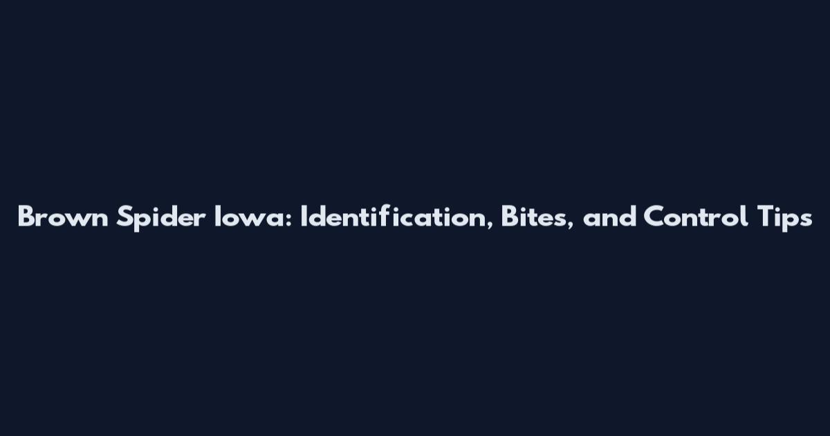 Brown Spider Iowa: Identification, Bites, and Control Tips
