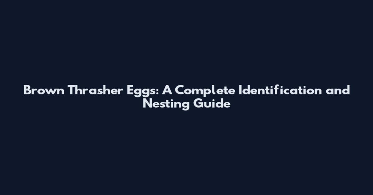 Brown Thrasher Eggs: A Complete Identification and Nesting Guide