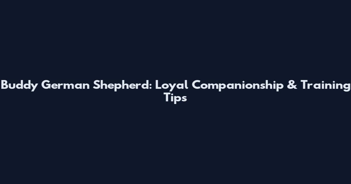 Buddy German Shepherd: Loyal Companionship & Training Tips