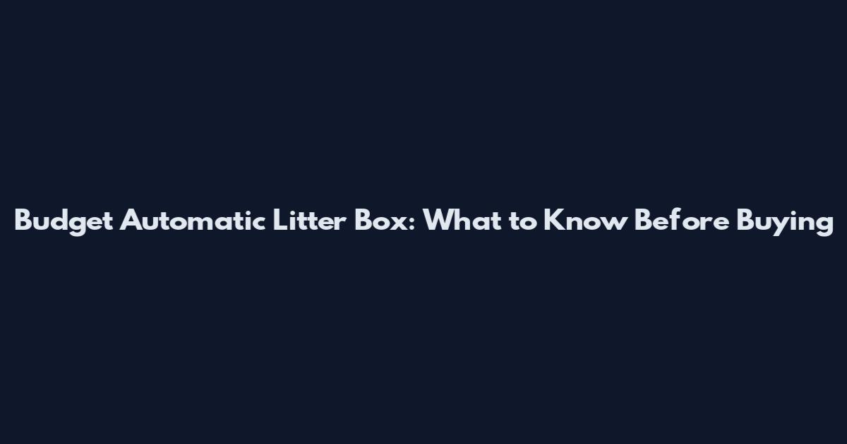Budget Automatic Litter Box: What to Know Before Buying