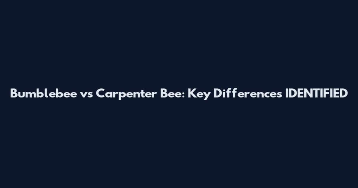 Bumblebee vs Carpenter Bee: Key Differences IDENTIFIED