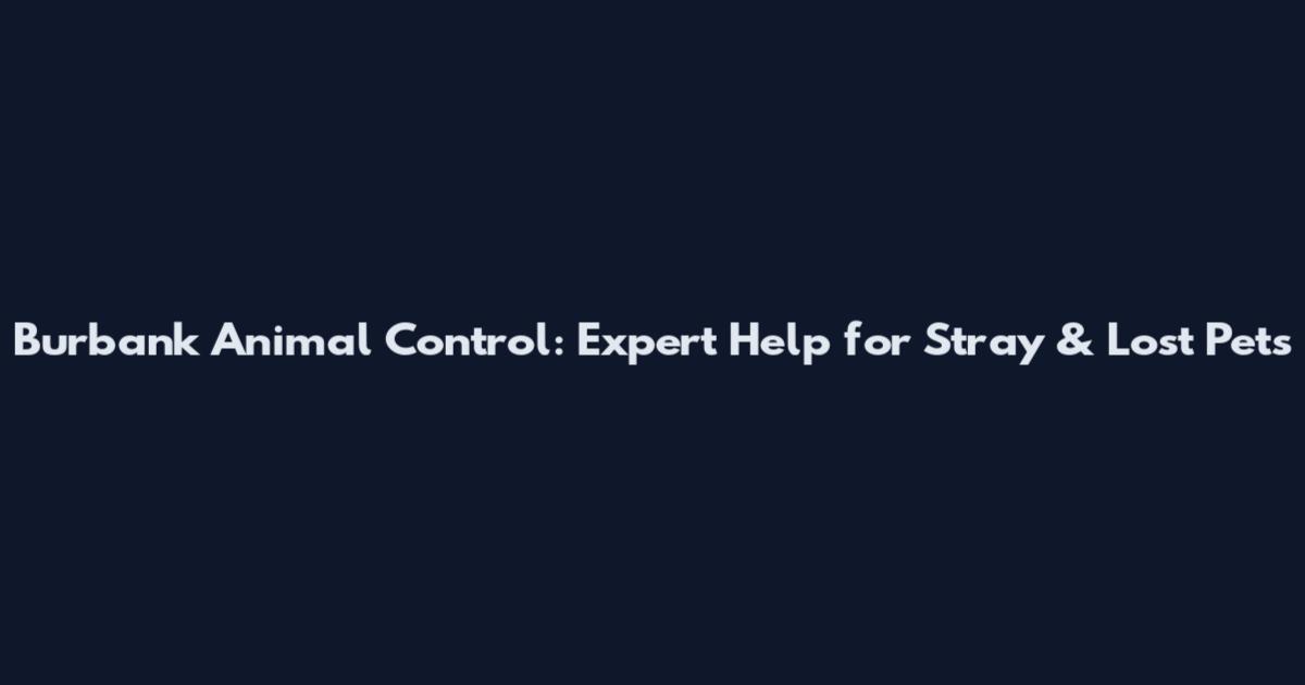 Burbank Animal Control: Expert Help for Stray & Lost Pets