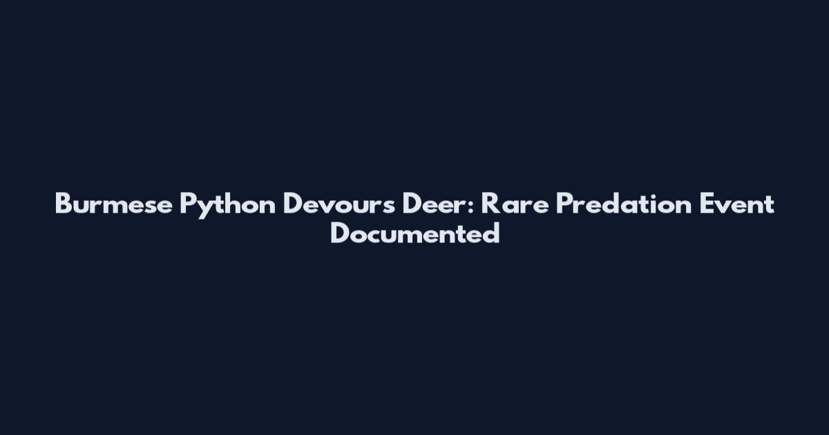 Burmese Python Devours Deer: Rare Predation Event Documented