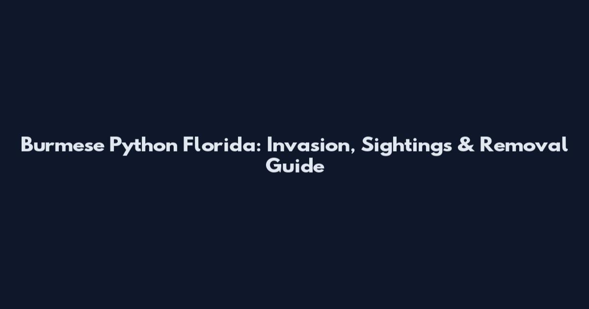 Burmese Python Florida: Invasion, Sightings & Removal Guide