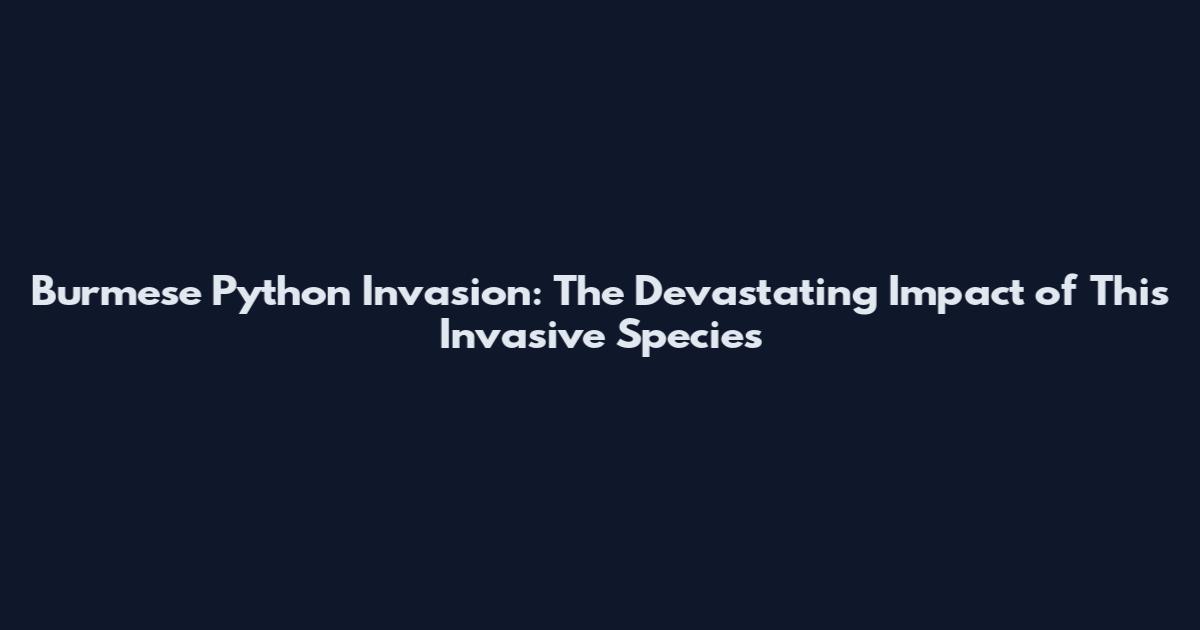 Burmese Python Invasion: The Devastating Impact of This Invasive Species