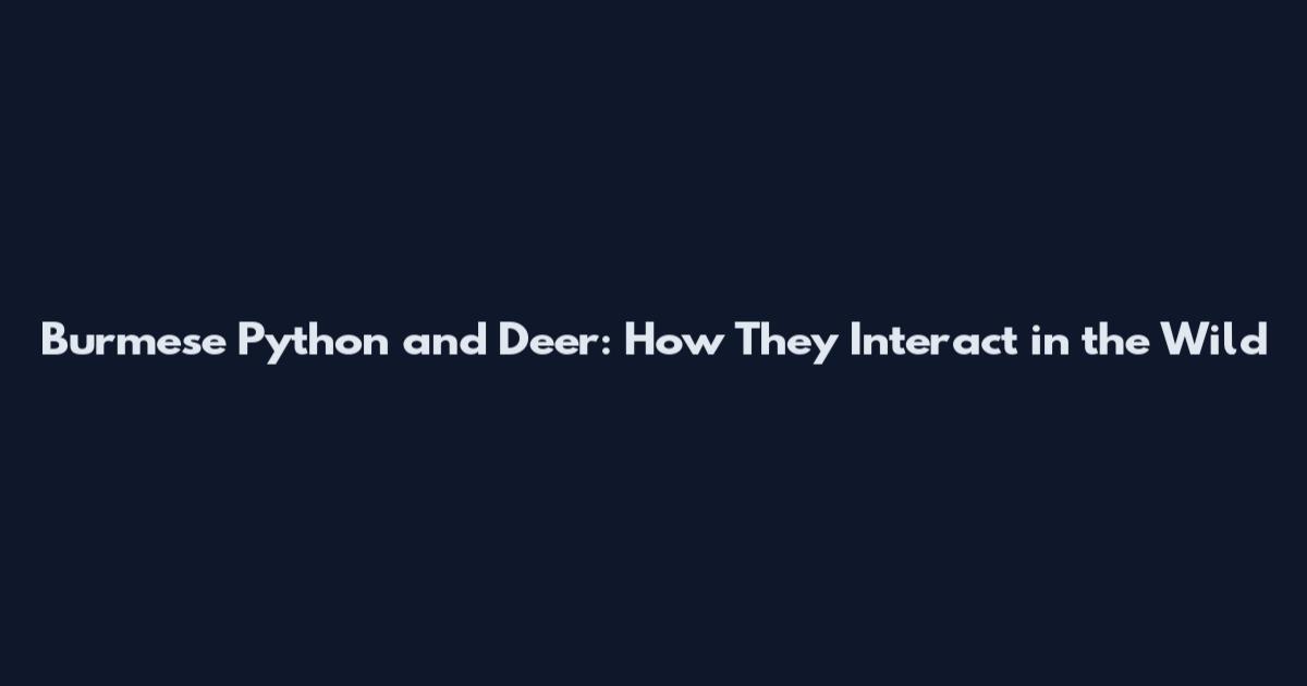Burmese Python and Deer: How They Interact in the Wild