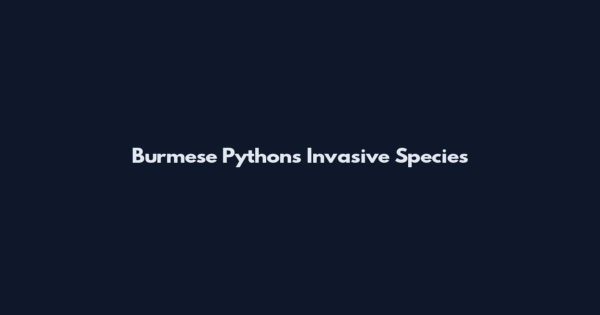 Burmese Pythons Invasive Species