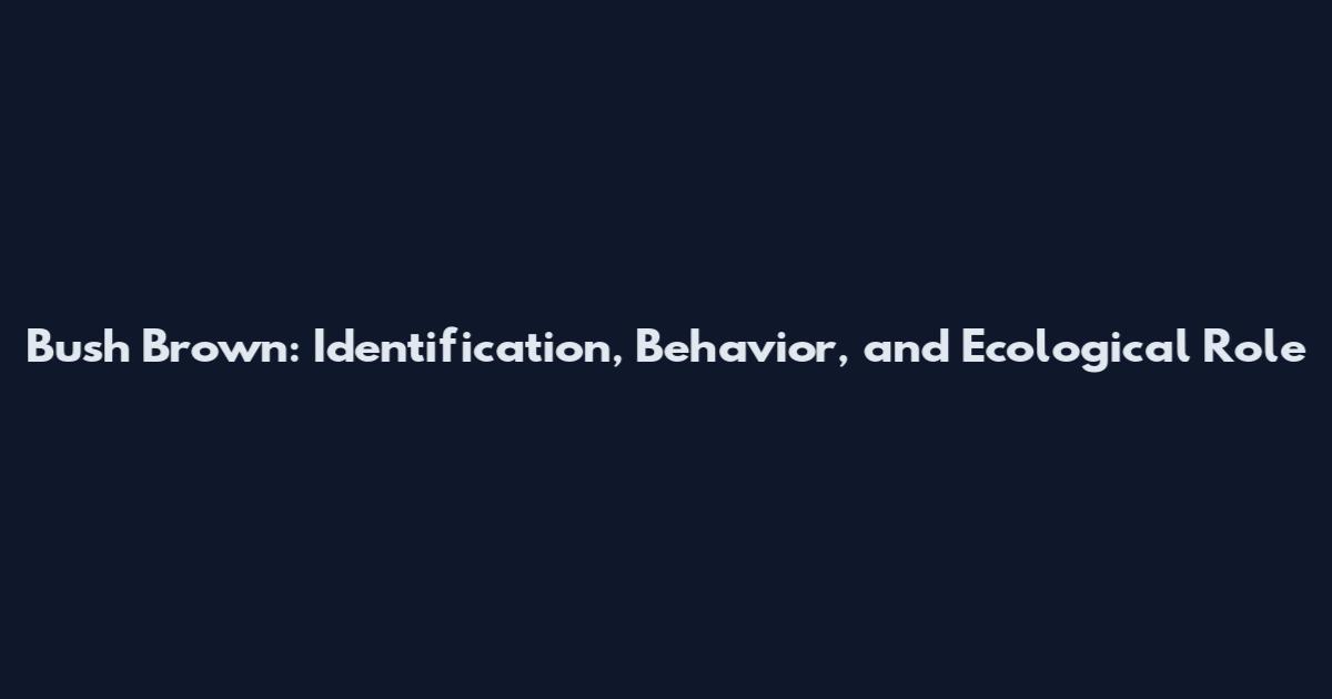 Bush Brown: Identification, Behavior, and Ecological Role