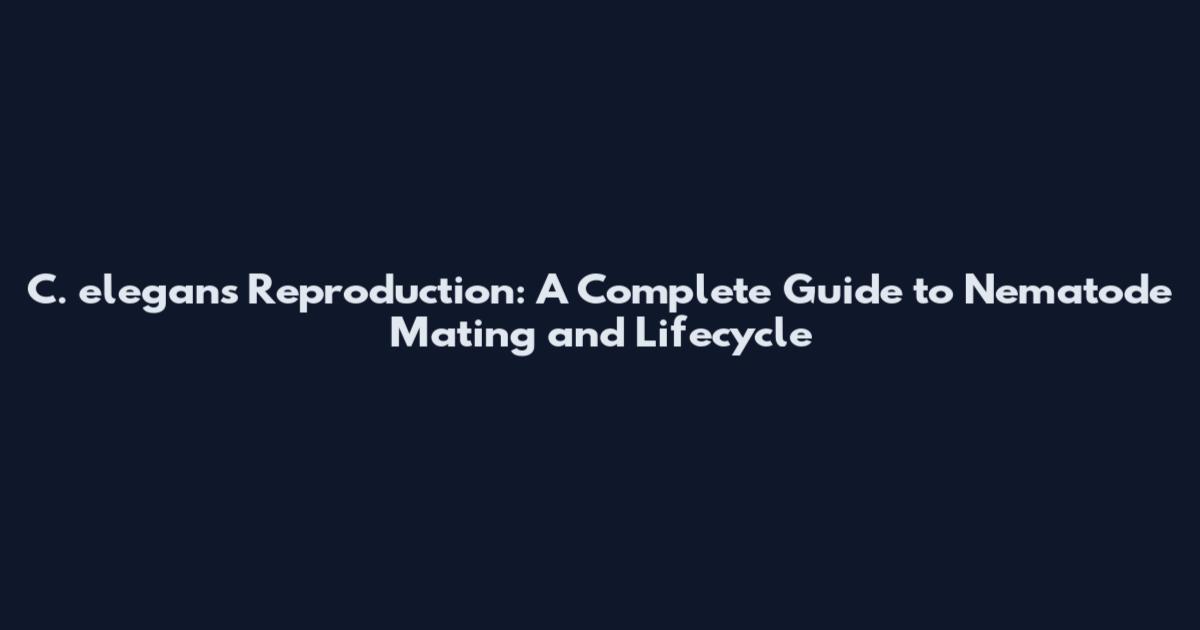 C. elegans Reproduction: A Complete Guide to Nematode Mating and Lifecycle